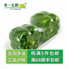 【老壹生鮮】新鮮青圓椒 甜椒青園椒 綠彩椒 燈籠椒 500g 【老壹生鮮】新鮮青圓椒 甜椒青園椒 綠彩椒 燈籠椒 500g