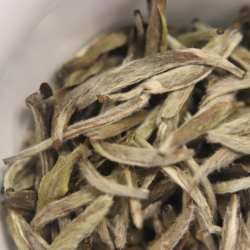 茶小猪八年老银针 太姥山首日针方家山村纯日晒私藏白毫银针30g