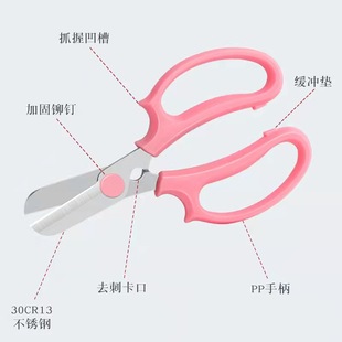 花艺剪刀不锈钢修枝剪插花绿化园林园艺剪玫瑰花去刺钳子花枝剪子