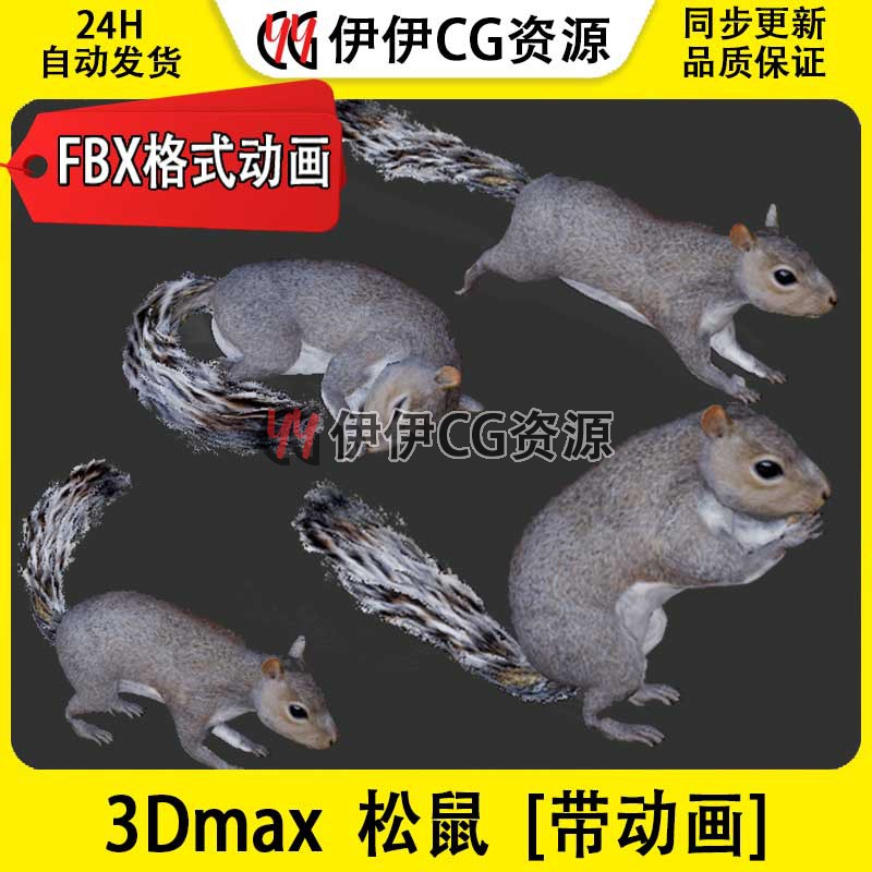 3D模型3DMax动物模型松鼠sq