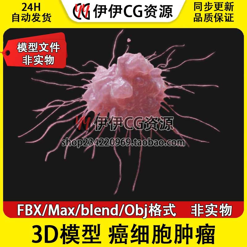 3D模型3Dmax FBX医学模型