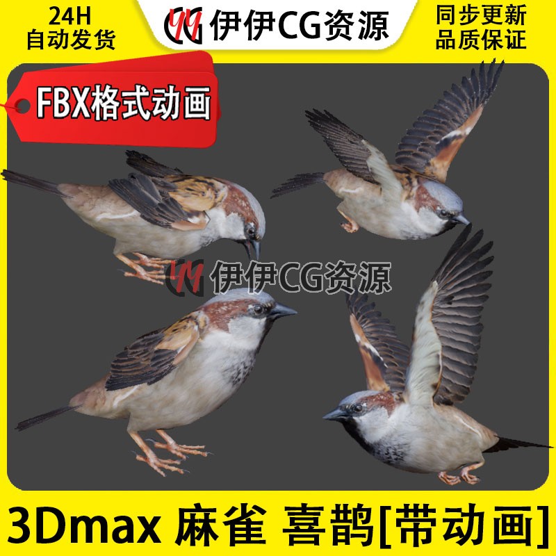 3DMax动物模型3D模型 小鸟喜
