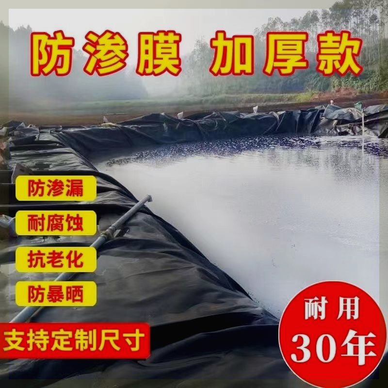 鱼塘防渗膜土工膜防水布蓄水池塑料膜护坡防漏专用加厚鱼塘防渗膜