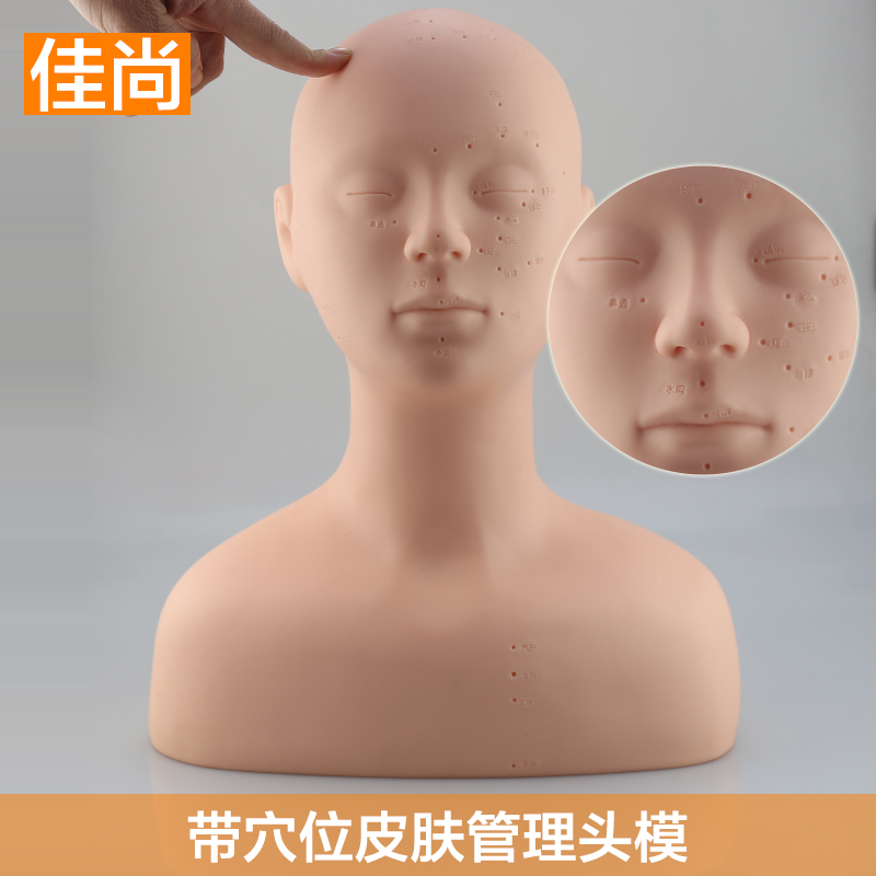 头部模型 美容模特头 脸部按摩皮肤管理头模型光头头模带肩膀穴位