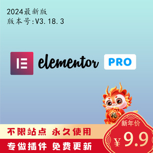 Elementor Pro免激活wordpress主题模板建站外贸商城插件编辑器