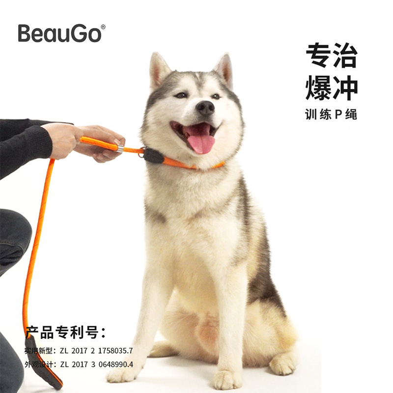 BeauGo贝宝捷一体式专业训犬尼龙P绳大中小型犬项圈牵引绳遛狗P链