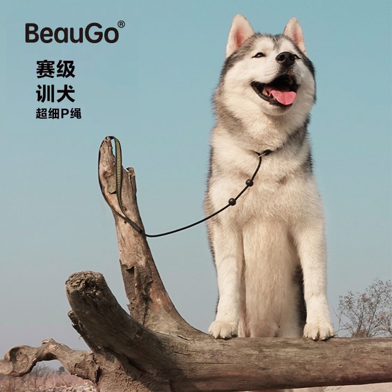 BeauGo贝宝捷一体式专业训犬尼龙细P链遛狗牵引绳项圈防爆冲狗绳