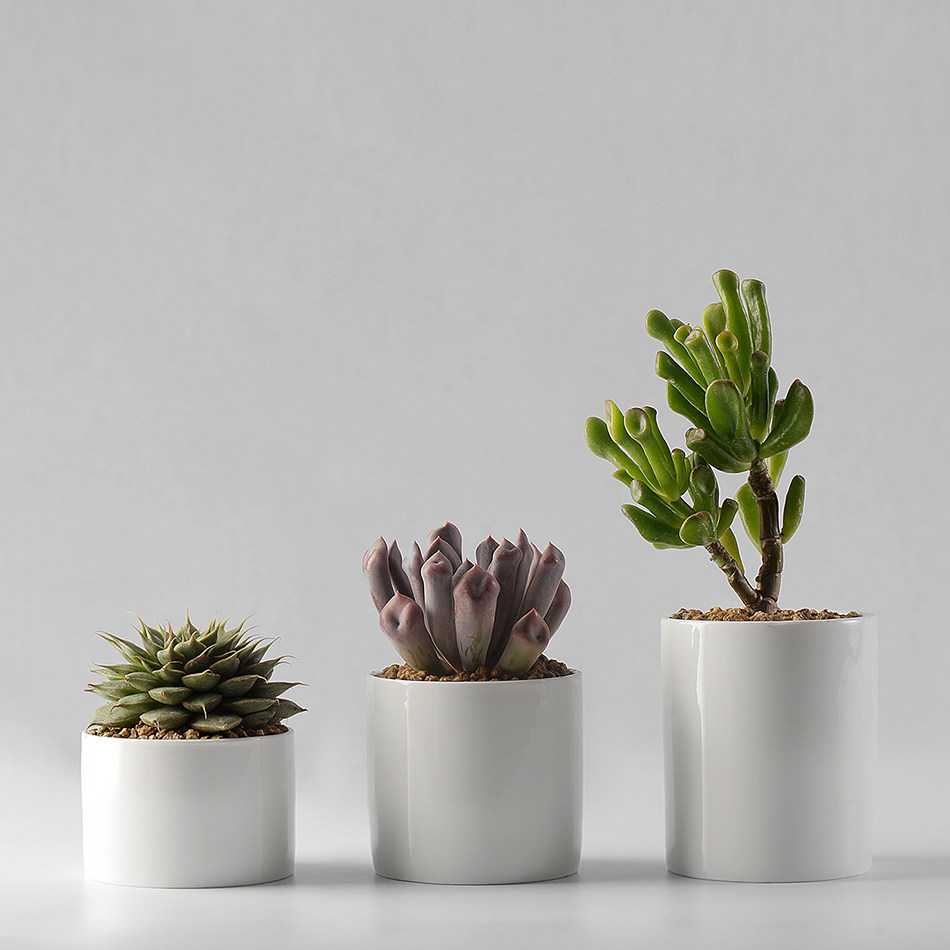 香氏简约花盆多肉白瓷白色陶瓷大号圆形创意个性老桩肉肉植物盆器