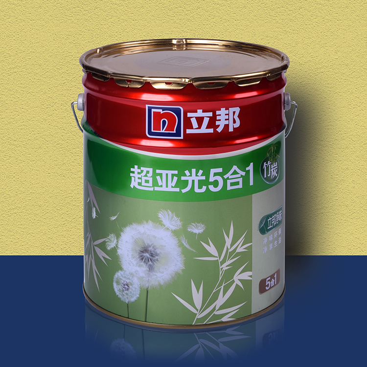 特价立邦漆五合一