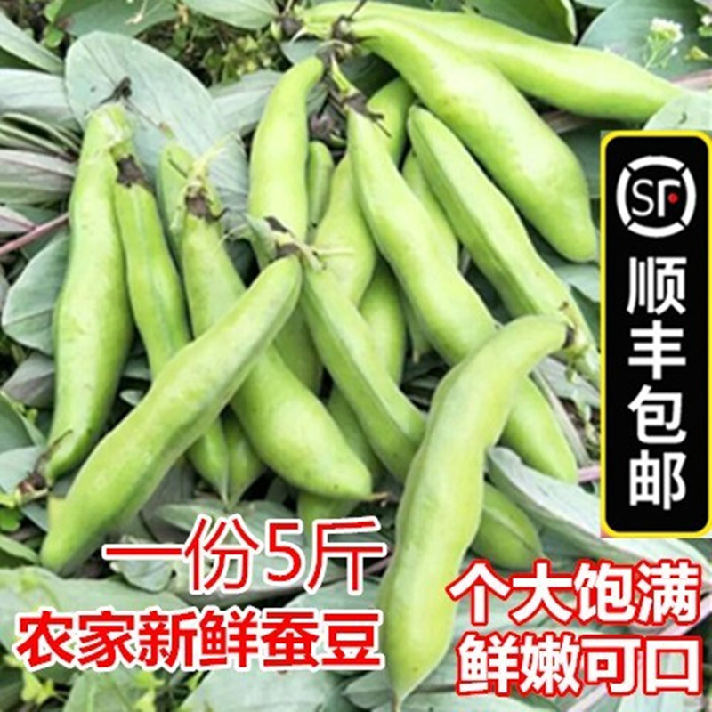 顺丰包邮5斤新鲜嫩蚕豆带壳蚕豆罗汉