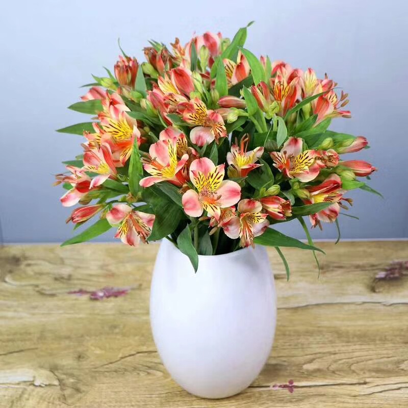 热销鲜花百合花 10支_新鲜水仙百合鲜花多头六出百合花家庭办公室插花