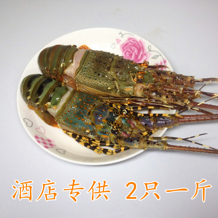 【搜鱼】小青龙虾仔鲜活冷冻天然海鲜龙虾仔刺身 2只/斤