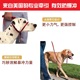 美国贝适安petsafe easywalk头部牵引套 防爆冲牵引绳 嘴环牵引带