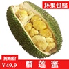 泰国进口新鲜水果榴莲蜜2-3斤迷你小菠萝蜜越南热带新鲜水果包邮|ru 泰国进口新鲜水果榴莲蜜2-3斤迷你小菠萝蜜越南热带新鲜水果包邮|ru