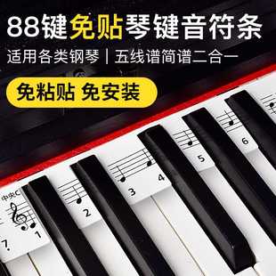 钢琴键盘贴纸88/61键电钢琴电子琴键盘贴条五线谱简谱音符音标贴