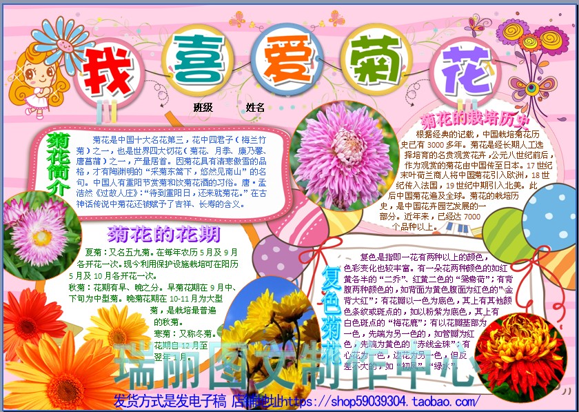 我喜爱菊花彩色电子小报成品模板花卉手抄报植物生长观察板报2051