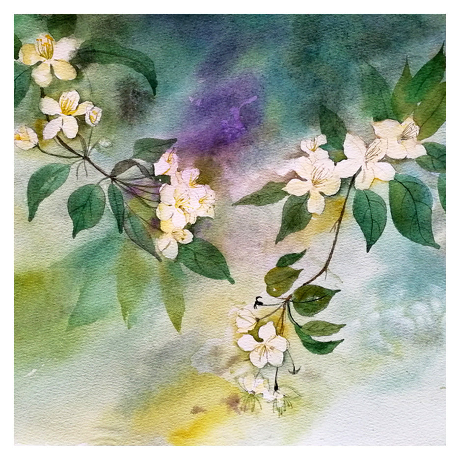 方舒辰《醉梨花》水彩
