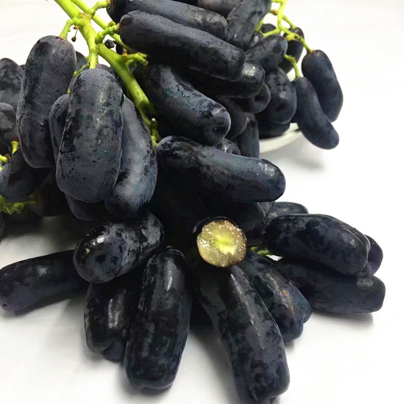 美国进口金手指黑提葡萄无籽黑加仑新鲜水果棉花糖葡萄2斤包邮