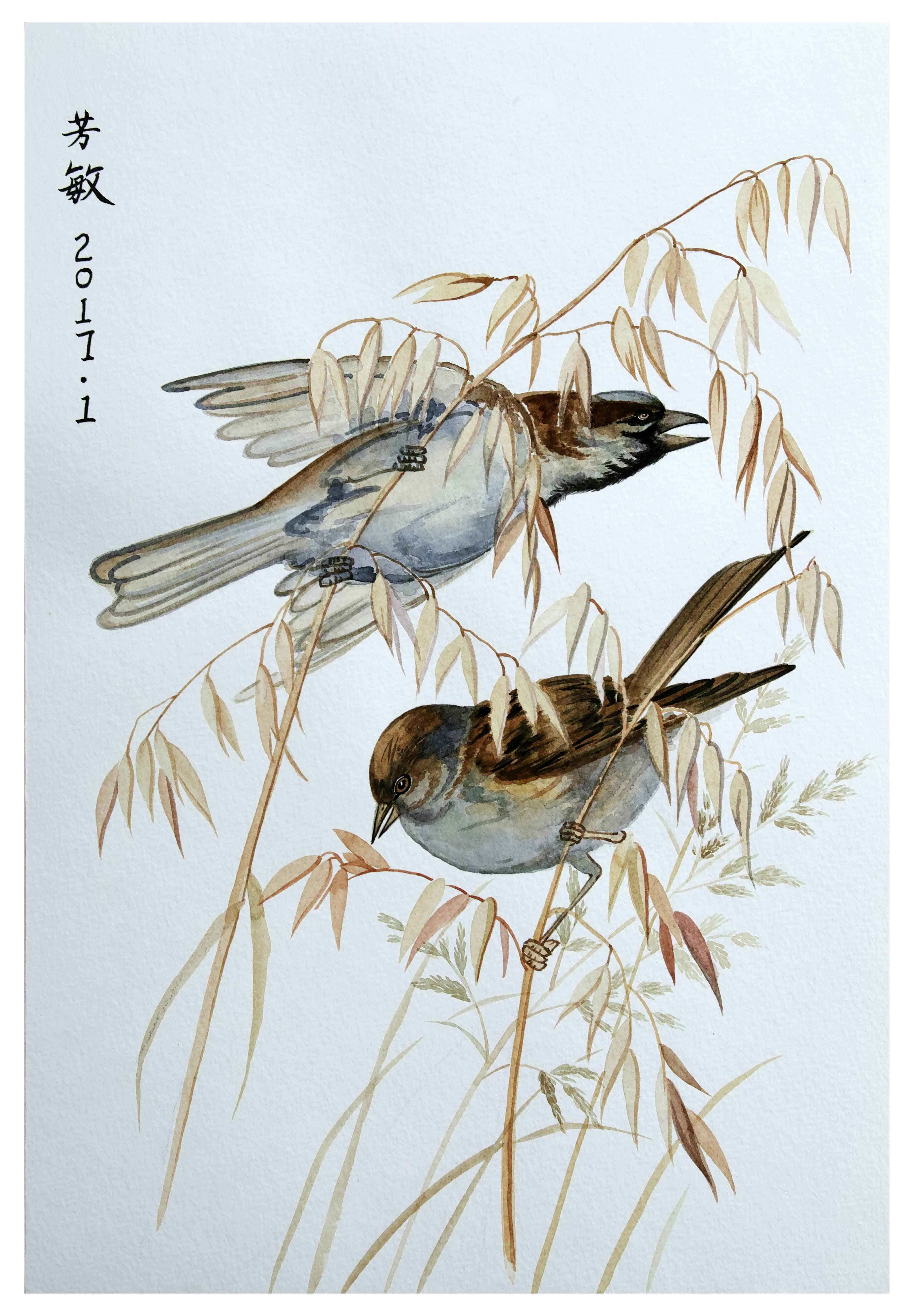 谢芳敏《花鸟》版画系列