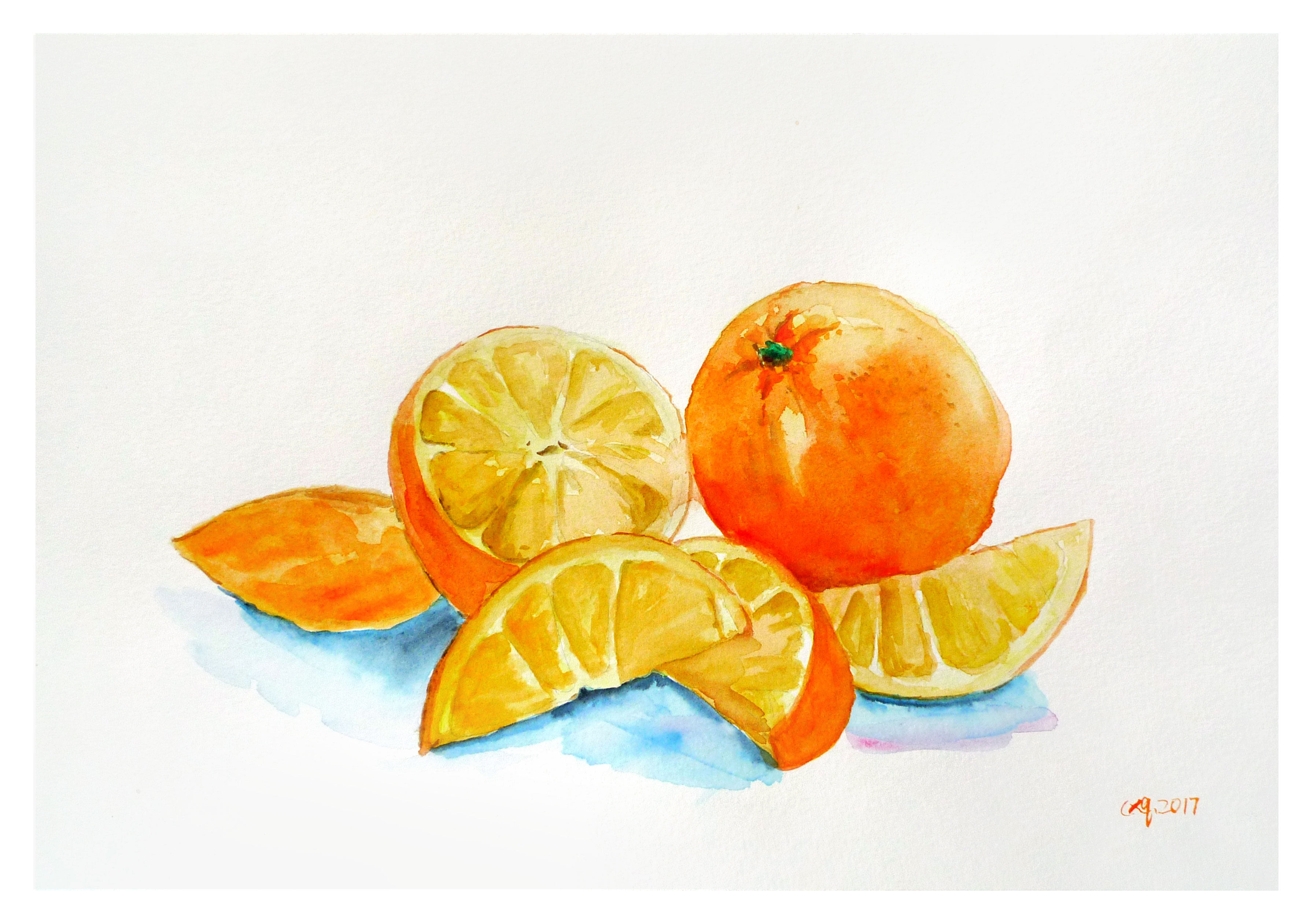 陈晓青《橙子》水彩