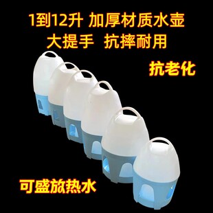 鸽子用品用具鸽用水壶喂水饮水器信鸽自动喝水壶耐高温防腐化水壶