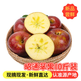 昭通苹果云南冰糖心丑苹果甜脆苹果红富士水果10斤包邮非烟台苹果