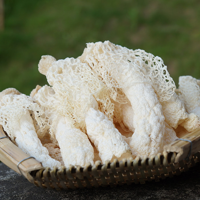 贵州竹荪短裙红托 织金竹荪干货无硫食用竹荪特产非野生竹笙50g