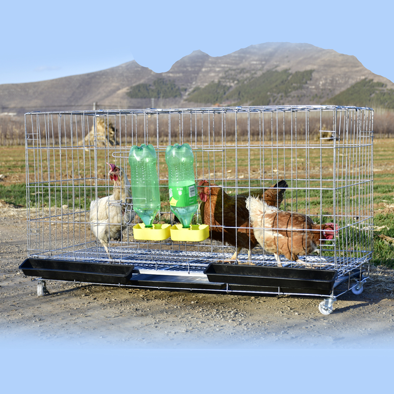 鸡笼子特大号清仓家用鸡笼鸡笼包邮鸡笼子养殖笼家用家养鸡笼