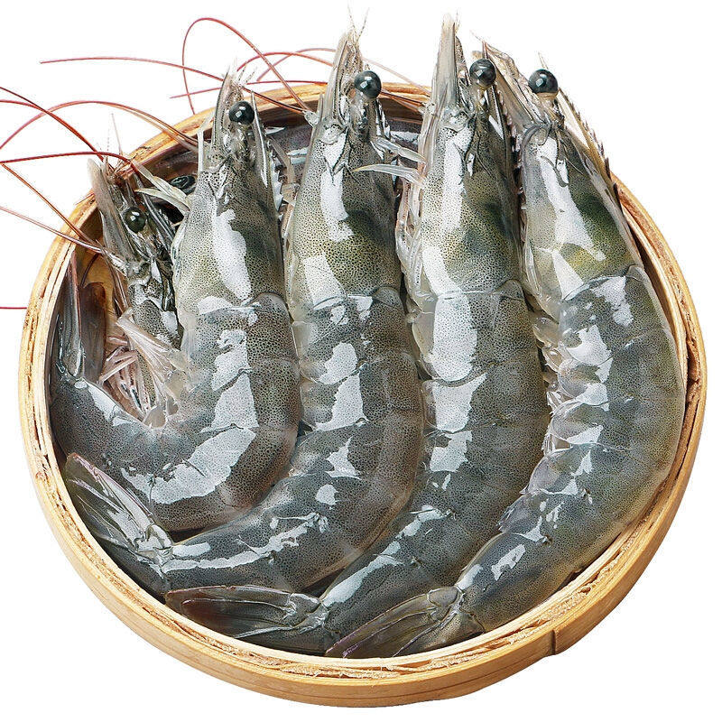 速冻顺丰包邮国产大虾船舱野生海鲜活新鲜大号冻虾