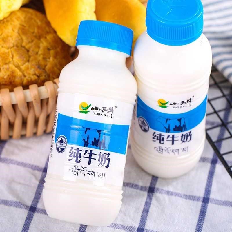 牛奶青海243ml12瓶整箱小瓶装小犀牛纯牛奶小孩子纯牛奶