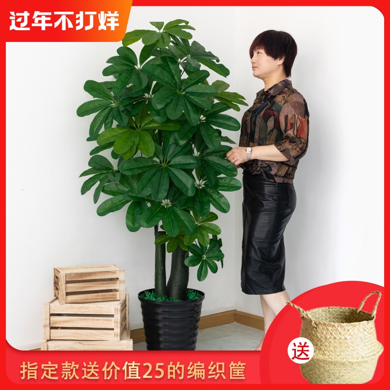 仿真植物盆栽假发财树客厅摆件室内装饰落地花塑料花大型绿植盆景|ruв категории доставка цветов/цветок моделирования/растения садоводства, искусственные цветы/растения/фрукты и овощи готовой продукции (новая), моделирование растения - от Buy2taobao.com для оказания профессиональной услуги покупки агента Taobao