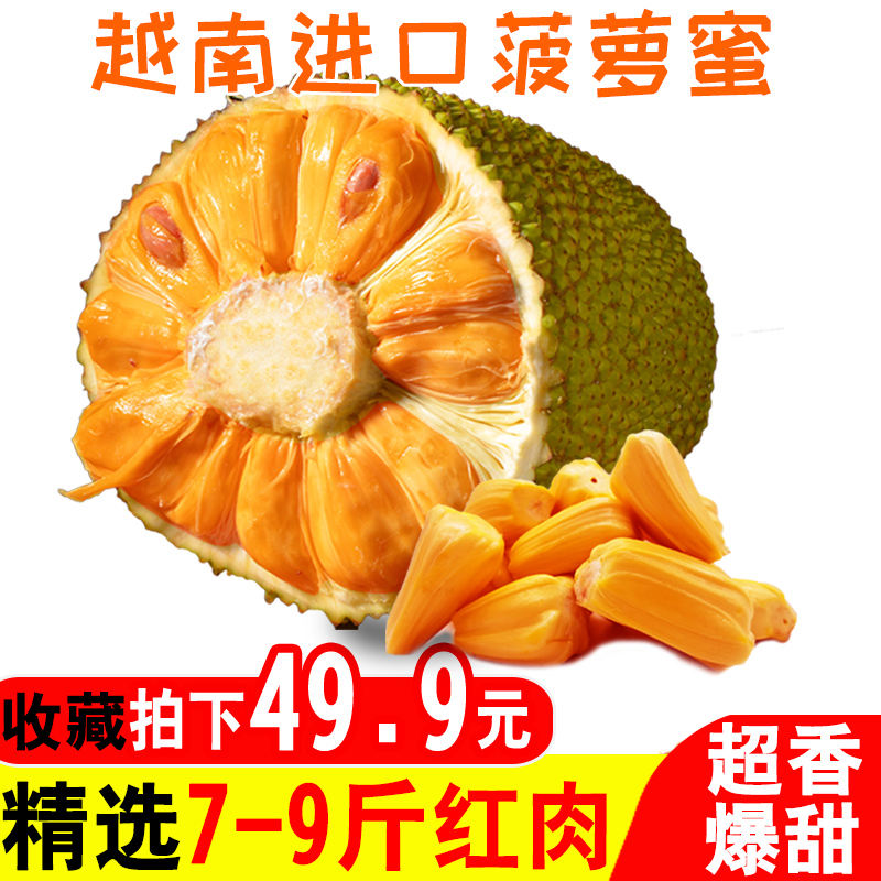 越南进口新鲜水果红肉红心菠萝蜜7-9斤 当季热带波罗蜜榴莲海南20