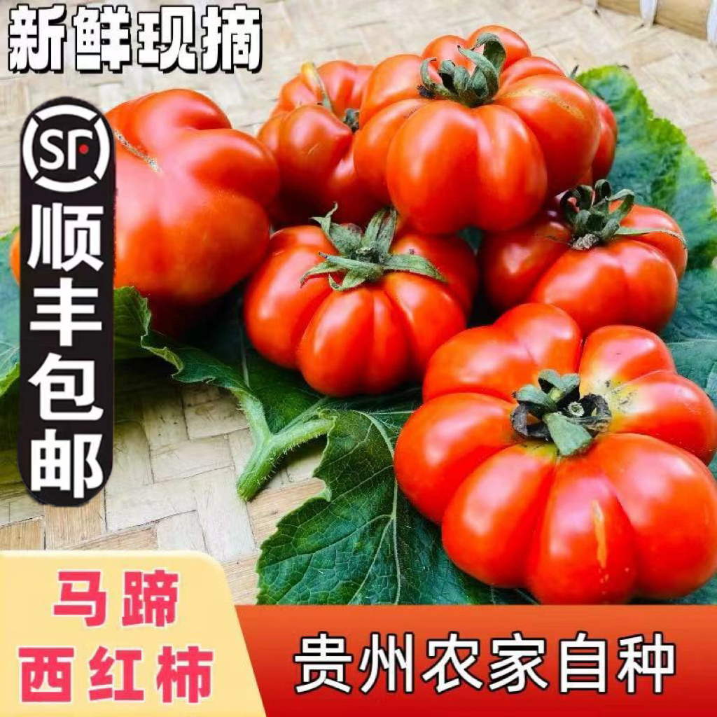 贵州农家老品种自然熟马蹄番茄西红柿