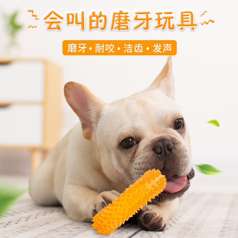 宜特狗狗玩具耐咬宠物磨牙棒大额优惠券