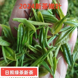 正宗山东日照绿茶2024新茶茶叶春茶散装特级手工豆香清香巨峰桶装