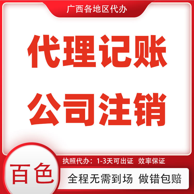 百色田东县公司注销代理记账税务逾期补申报汇算清缴年报财务报表