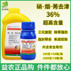 36%硝烟莠去津 烟嘧磺隆硝磺草酮苞米地杂草苗后玉米田专用除草剂