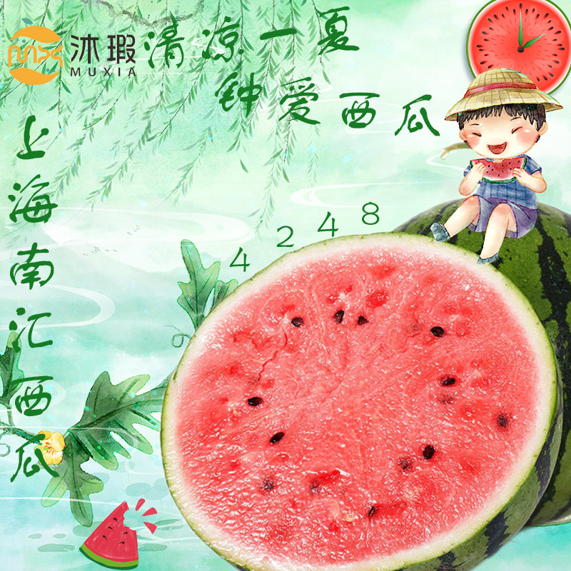 上海南汇8424西瓜水果新鲜麒麟瓜头茬单只装大个5~7斤当季甜包邮