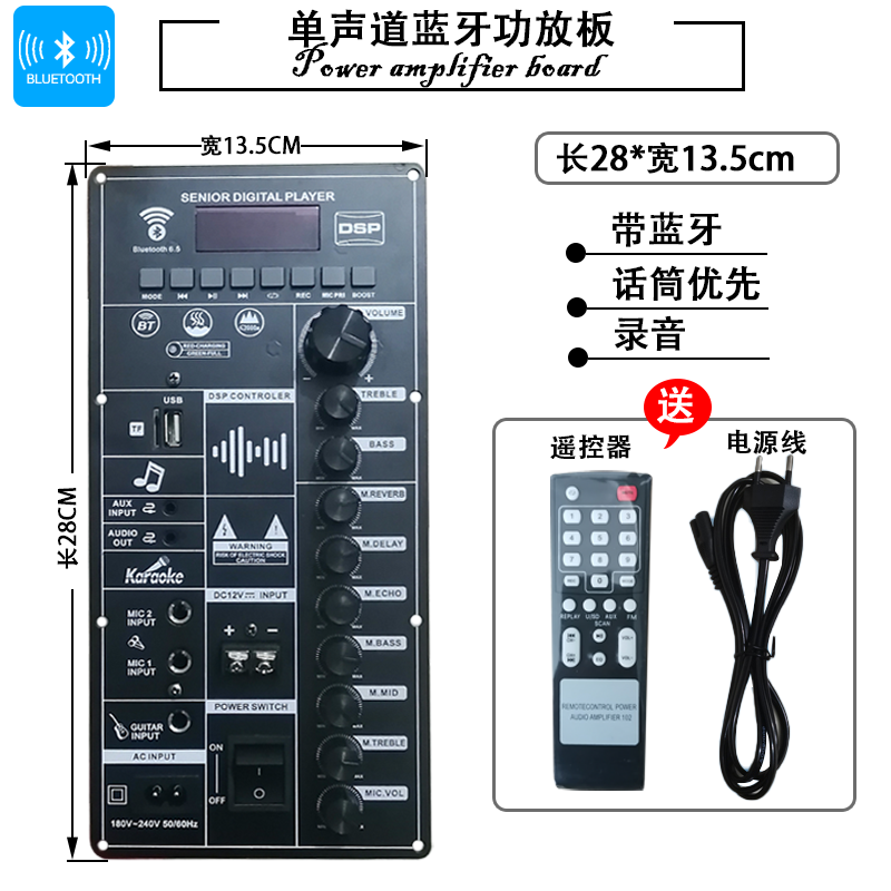 包邮广场舞音响DSP功放板带蓝牙单声道12V电瓶220V充电大功率主板