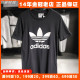 阿迪达斯三叶草短袖女Adidas夏季新款运动服大logo时尚T恤CV9888