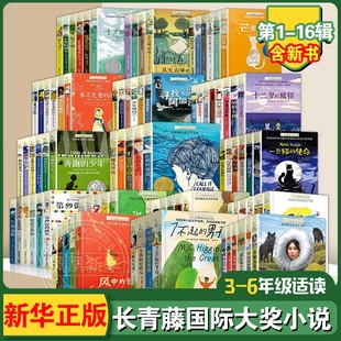 长青藤国际大奖小说书系80册兔子坡十岁那年十二岁的旅程五年级的烦恼暑假里的大生意想赢的男孩追梦的孩子三四五六年级课外阅读书