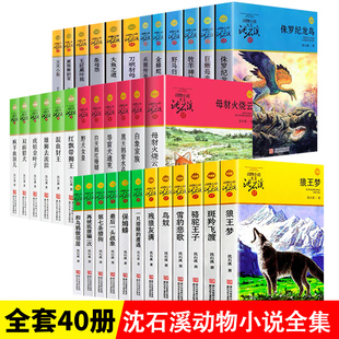 狼王梦沈石溪动物小说全集品藏书系大王升级版全套41册斑羚飞渡第七条猎狗最后一头战象9-12岁小学生四五六年级课外经典必正版书籍