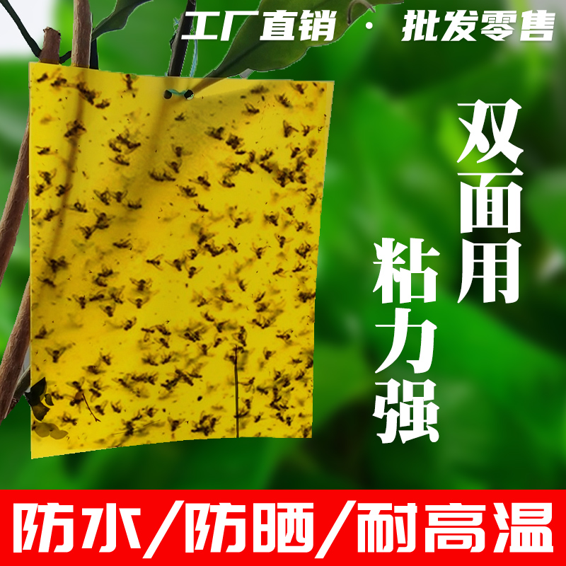 双面粘虫板黄色诱虫花卉小黑飞虫黏贴覆纸农用大棚蓟马果蝇诱捕器