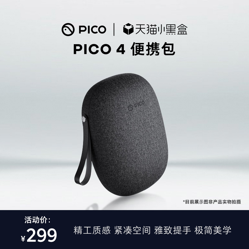 PICO 4 便携包