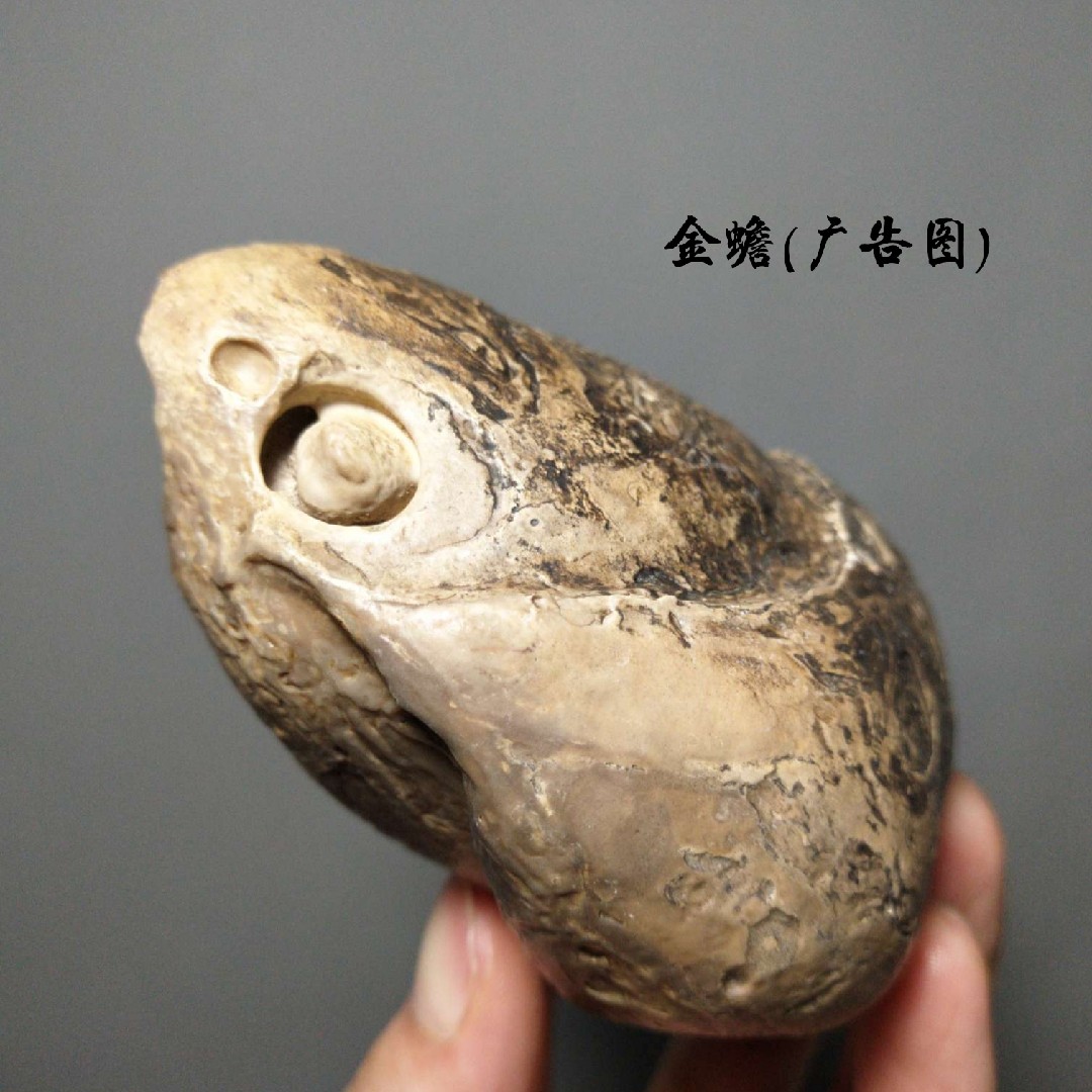 44特价非洲产地原石地表戈壁石古磐石观赏石景观文房奇石桌面摆件