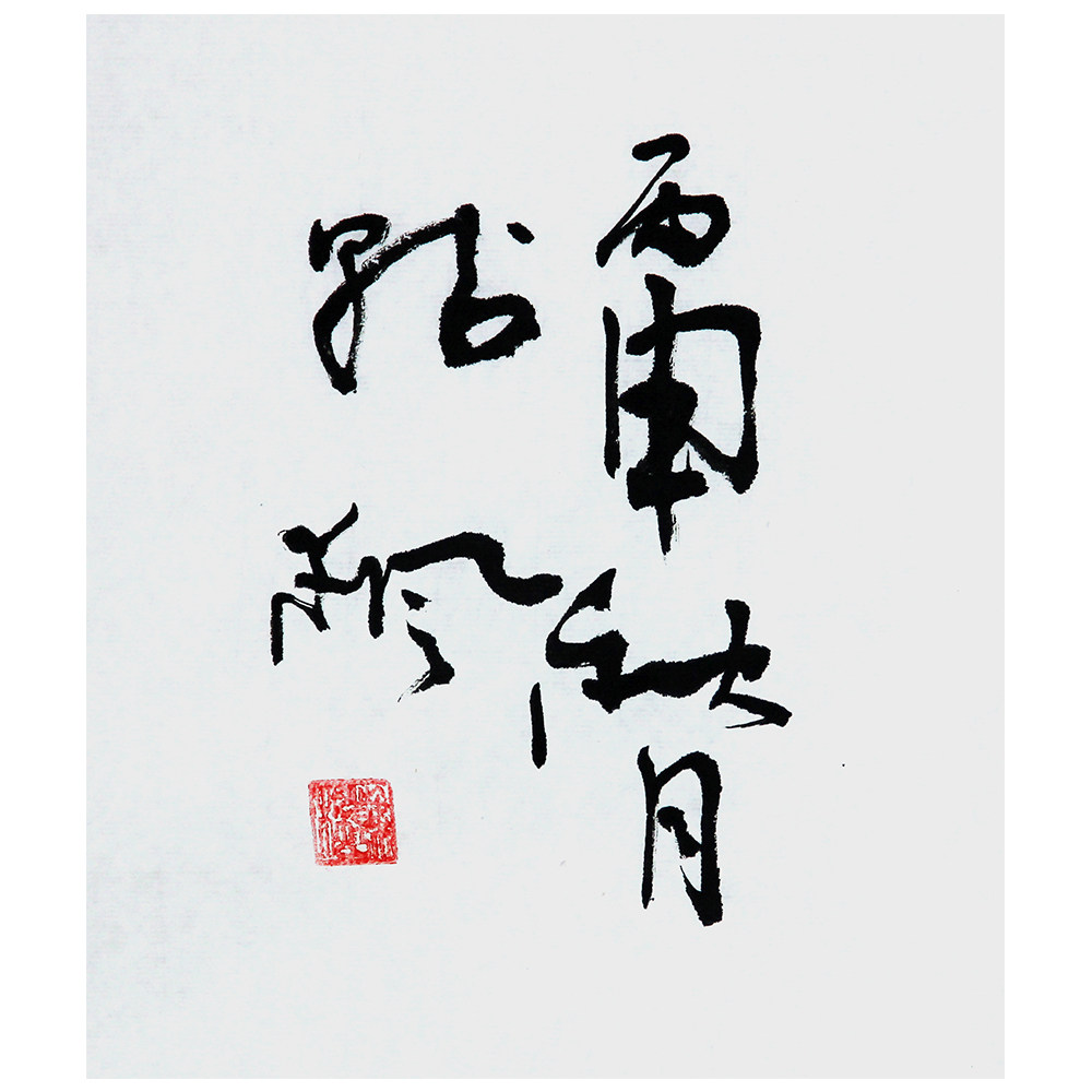 韩枫《天地一沙鸥》 t310