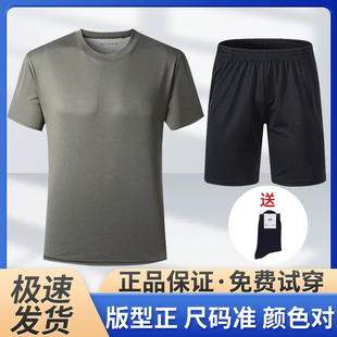 际华3543新式体能训练服套装男夏体能服短袖速干T恤透气圆领上衣