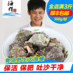 鲜活大海螺500g3只无沙青岛野生贝类海鲜水产新鲜超大海螺3斤包邮