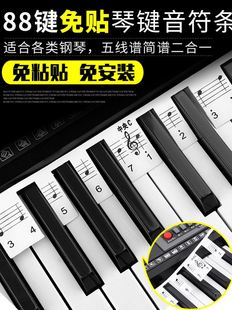 钢琴马哈音标贴纸初学者雅马哈学者琴键61键盘键线谱键子初学电子