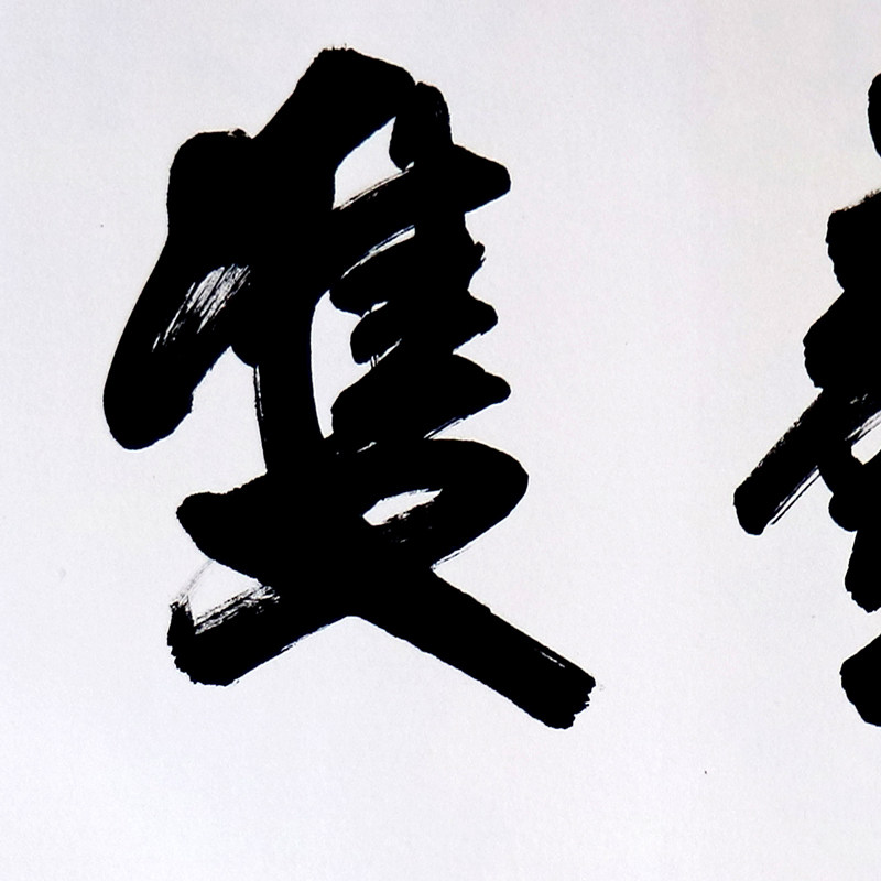 祝家锋《德艺双馨》实力派书法家